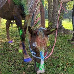 Meet your Posher, Beverly